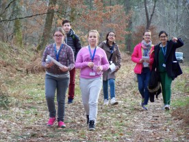 Orientation race in the Landes Forest